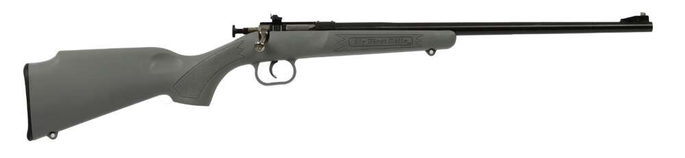 Rifles Long Guns Keystone Sporting Arms Crickett 22LR CRICKETT 22LR BL/GRY &bull; 